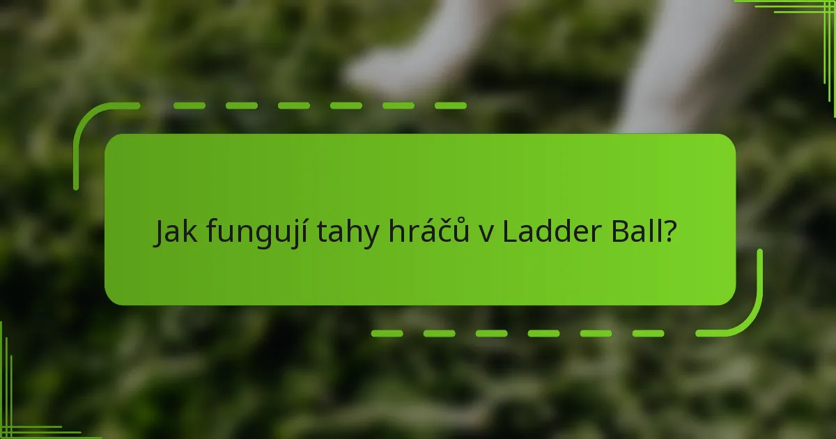 Jak fungují tahy hráčů v Ladder Ball?