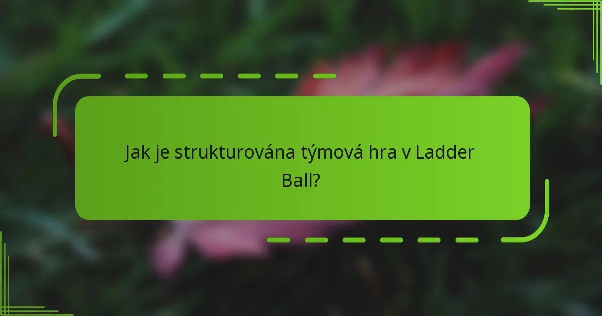 Jak je strukturována týmová hra v Ladder Ball?