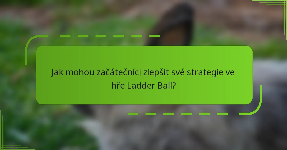 Jak mohou začátečníci zlepšit své strategie ve hře Ladder Ball?
