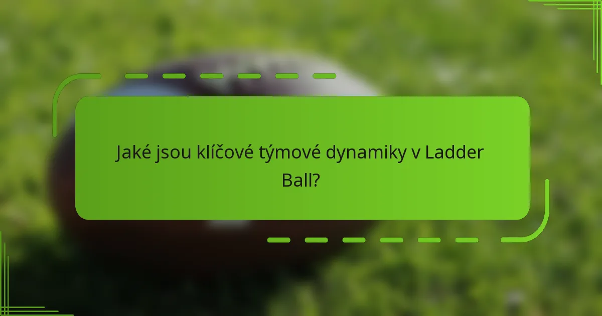 Jaké jsou klíčové týmové dynamiky v Ladder Ball?