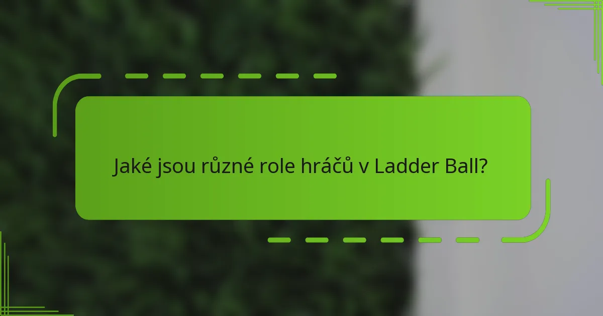 Jaké jsou různé role hráčů v Ladder Ball?