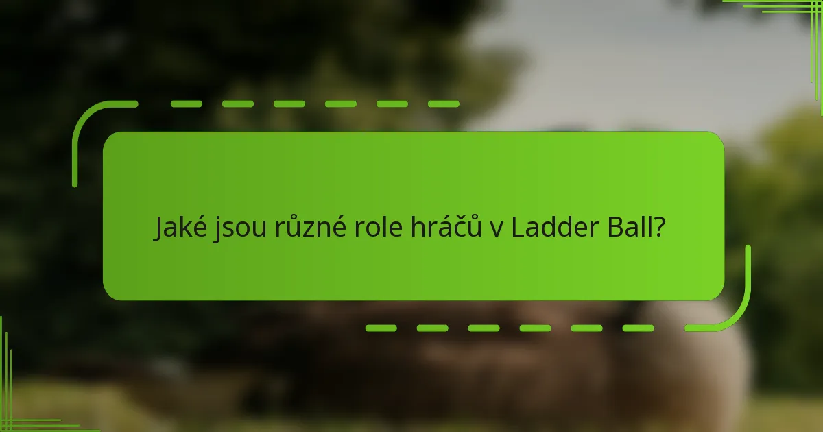 Jaké jsou různé role hráčů v Ladder Ball?